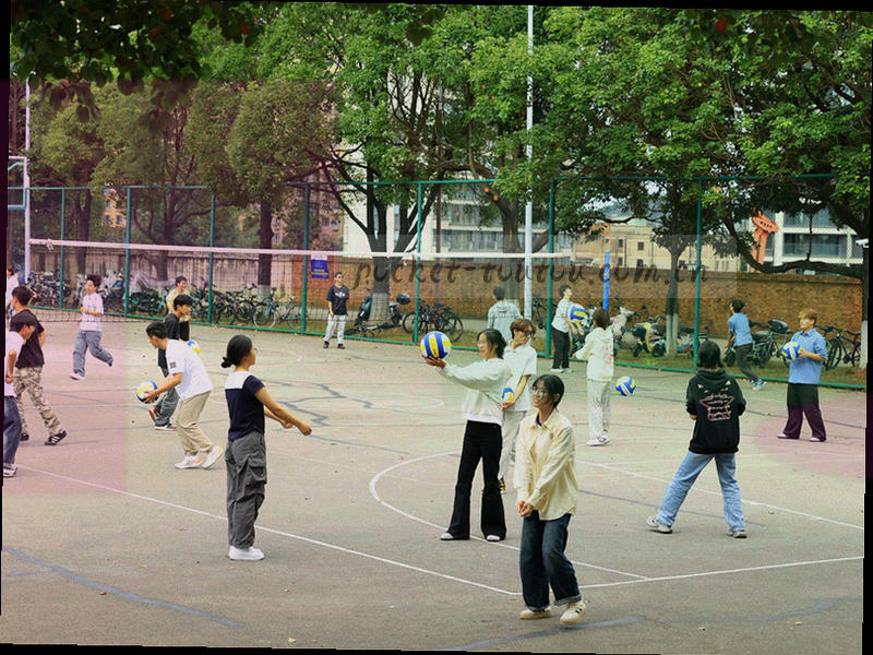 设备界面特写与等宽数据标签，呈现刷新窗口倒计时与提醒开启状态